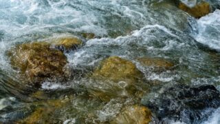 NI farmers urged to help  protect water quality
