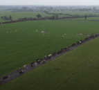 Do you know what’s causing lameness on your farm?
