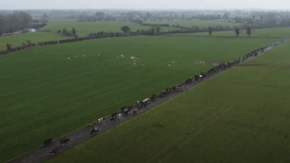 Do you know what’s causing lameness on your farm?