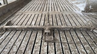 Environment Agency: Farmers should prepare winter slurry storage