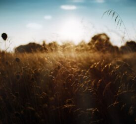 Report: Agri workers most at risk from climate change