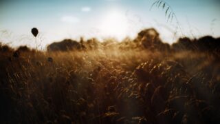 Report: Agri workers most at risk from climate change