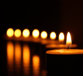DAERA pays tribute to vet who died in ‘tragic circumstances’