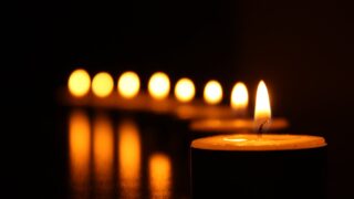 DAERA pays tribute to vet who died in ‘tragic circumstances’