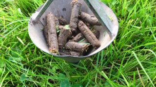 Basalt dust can act to increase soil pH values – study