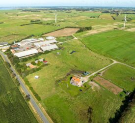 Securing the future of Danish dairy farm after bankruptcy