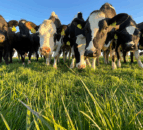 In-person DAERA public consultations on draft NI climate plan set to start