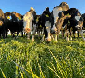 In-person DAERA public consultations on draft NI climate plan set to start