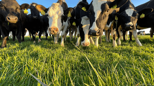 In-person DAERA public consultations on draft NI climate plan set to start