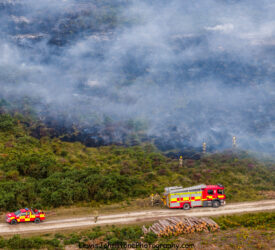 Fire services battling large blaze in Holt Heath as 69ha consumed