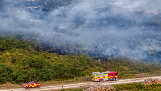 Fire services battling large blaze in Holt Heath as 69ha consumed
