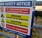 Farm safety survey: 75% of NI farmers fear being hit by an animal
