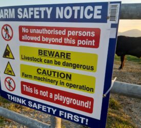 Farm safety survey: 75% of NI farmers fear being hit by an animal