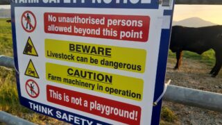 Farm safety survey: 75% of NI farmers fear being hit by an animal