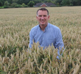 Absence of BYDV ‘reflected in the yields’ for Northern Ireland harvest 2025