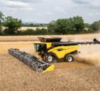Tillage: Combining soil analysis with grain assessments