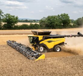Tillage: Combining soil analysis with grain assessments