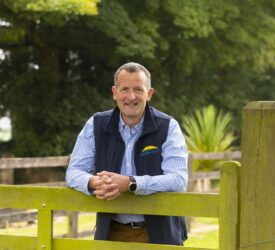 Dawn Meats seeks majority share of NZ’s largest lamb processor