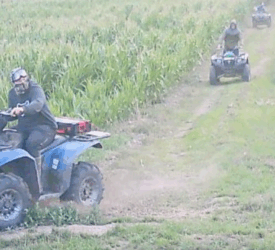 Police investigating after crops destroyed by quads