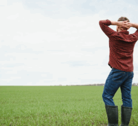 Poll: 80% of farmers ‘worry for survival’ due to UK inheritance tax changes