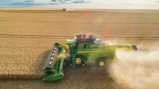 Second wheat yields averaging 3.5t/ac in Northern Ireland