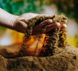 Final registration deadline for NI Soil Nutrient Health Scheme approaching