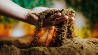 Final registration deadline for NI Soil Nutrient Health Scheme approaching