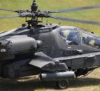 Cow euthanized following ‘military helicopter exercise’ in Netherlands