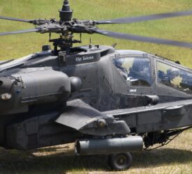 Cow euthanized following ‘military helicopter exercise’ in Netherlands