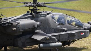 Cow euthanized following ‘military helicopter exercise’ in Netherlands