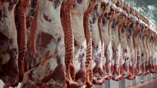 ‘Significant’ rise in UK beef imports from Brazil, Australia and NZ