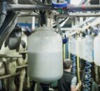 Annual global milk supply now forecast to grow by 1.4% – Ornua