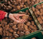 Potato markets reportedly reflecting drop in consumer demand