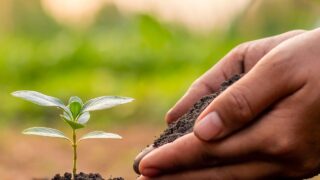 DAERA extends deadline for soil health scheme