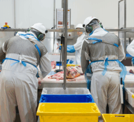 ‘Further consolidation in the meat-processing sector is likely’ – AHDB