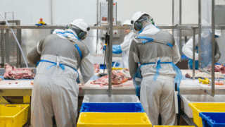 ‘Further consolidation in the meat-processing sector is likely’ – AHDB