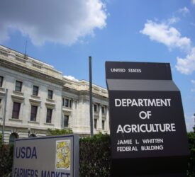 USDA to end taxpayer funding for solar on ‘productive farmland’