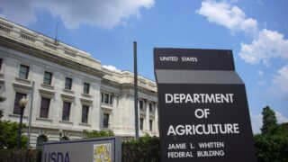 USDA: No detections of screwworm in livestock after human case