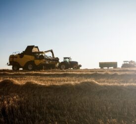 Harvest 2025 on the Ards Peninsula delivers high yields