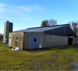 The hidden danger of asbestos on farms