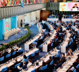 Global conference on sustainable livestock transformation