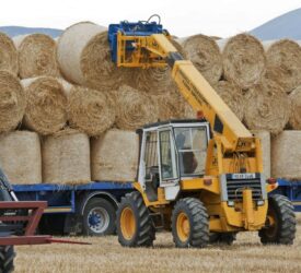 Is demand for precision chopped Spanish straw growing?