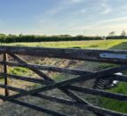 Recruitment campaign begins for CAFRE advisory group