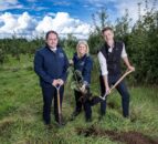 Initiative’s goal to plant a million trees is ‘thriving’ – NI Water