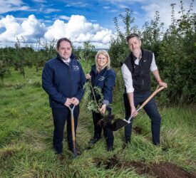 Initiative’s goal to plant a million trees is ‘thriving’ – NI Water