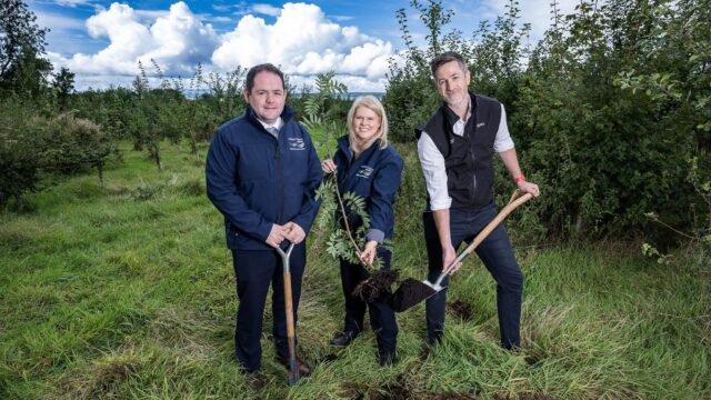 Initiative’s goal to plant a million trees is ‘thriving’ – NI Water