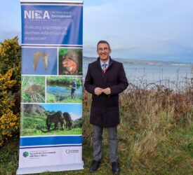Over £3.2m to support nature recovery projects in Northern Ireland