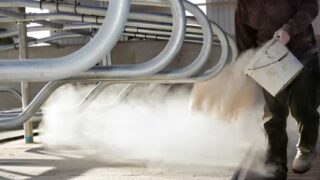 Tackling mastitis through a sawdust and lime mix
