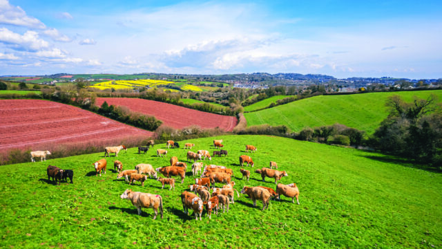 UK agri-food charity body aims to 'unlock potential' with new strategy