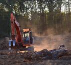 AIC welcomes delay to deforestation regulation